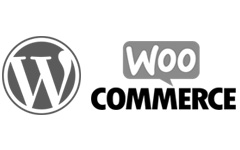 wordpress wordpress